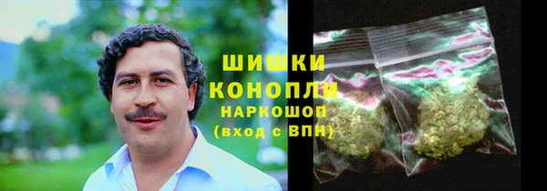 стаф Балахна
