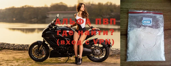 ПСИЛОЦИБИНОВЫЕ ГРИБЫ Каменногорск
