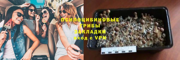 стаф Балахна