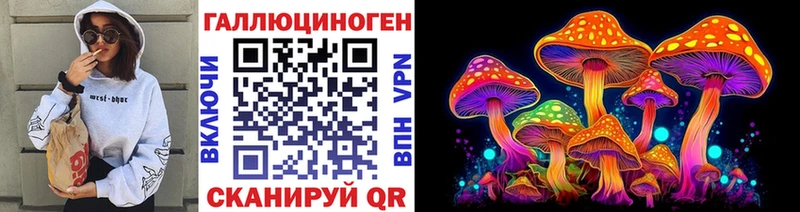 Псилоцибиновые грибы Psilocybe  Коркино 